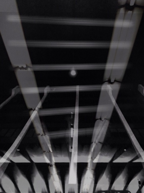 Archillect ID 67740
