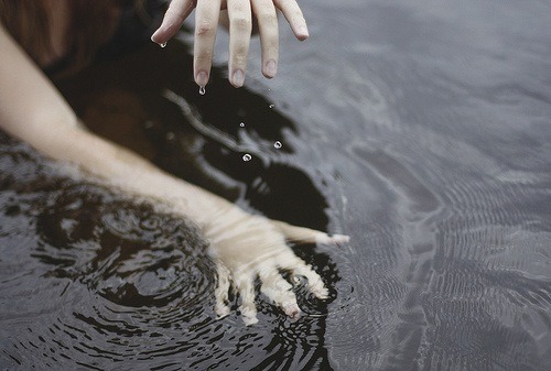 Archillect ID 67986