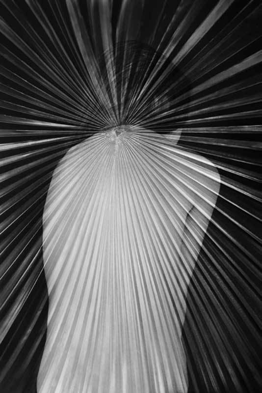 Archillect ID 67996