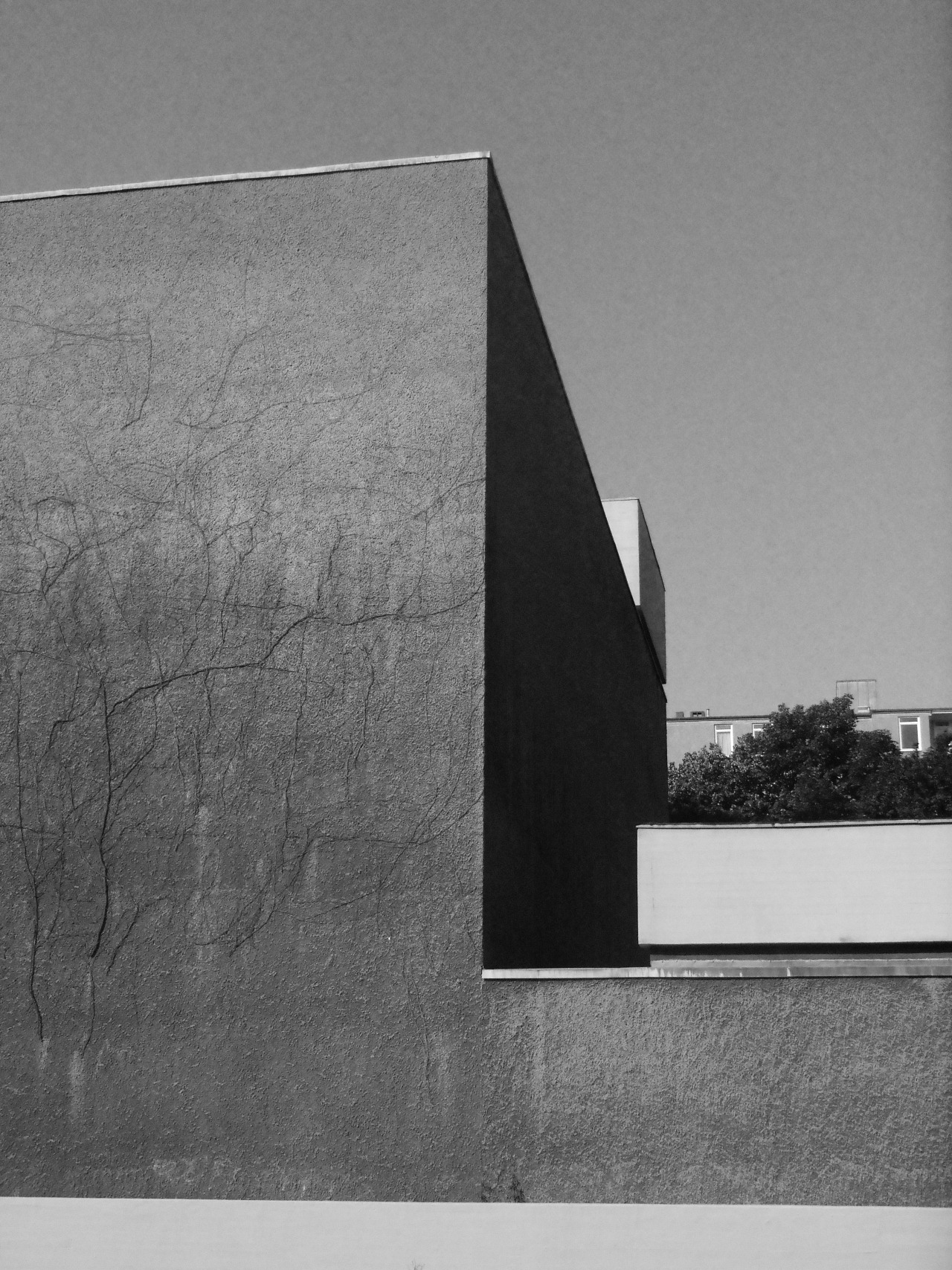 Archillect ID 68206