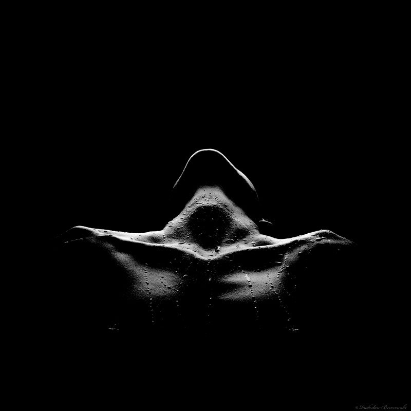 Archillect ID 68222