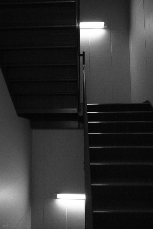 Archillect ID 68229