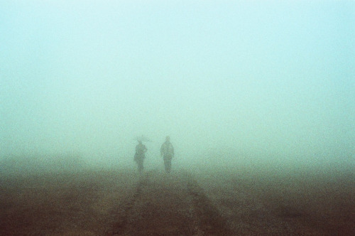 Archillect ID 68425