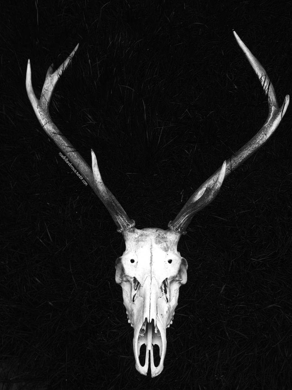 Archillect ID 68430