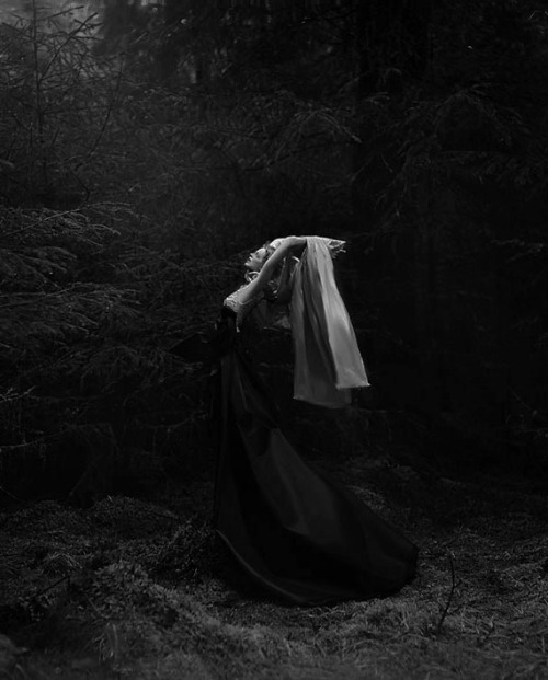 Archillect ID 68442