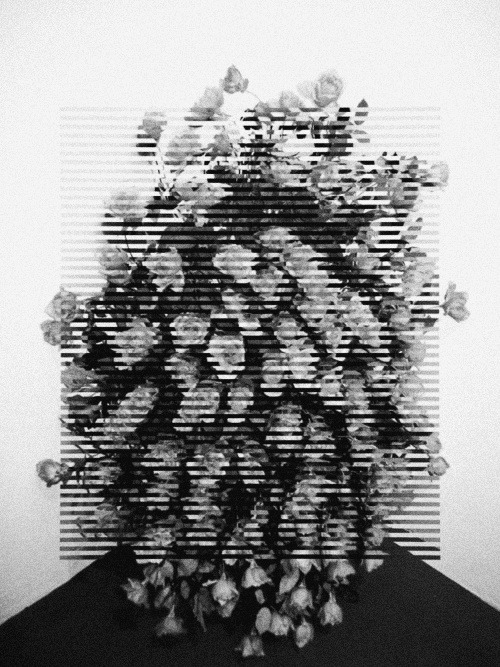 Archillect ID 68454