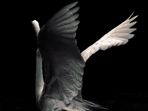 Archillect ID 68574