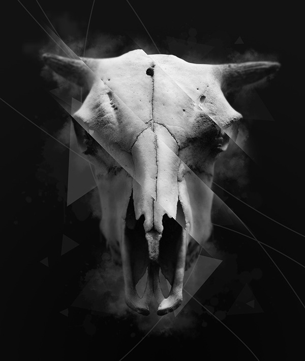 Archillect ID 68723