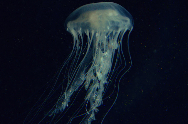Archillect ID 68922