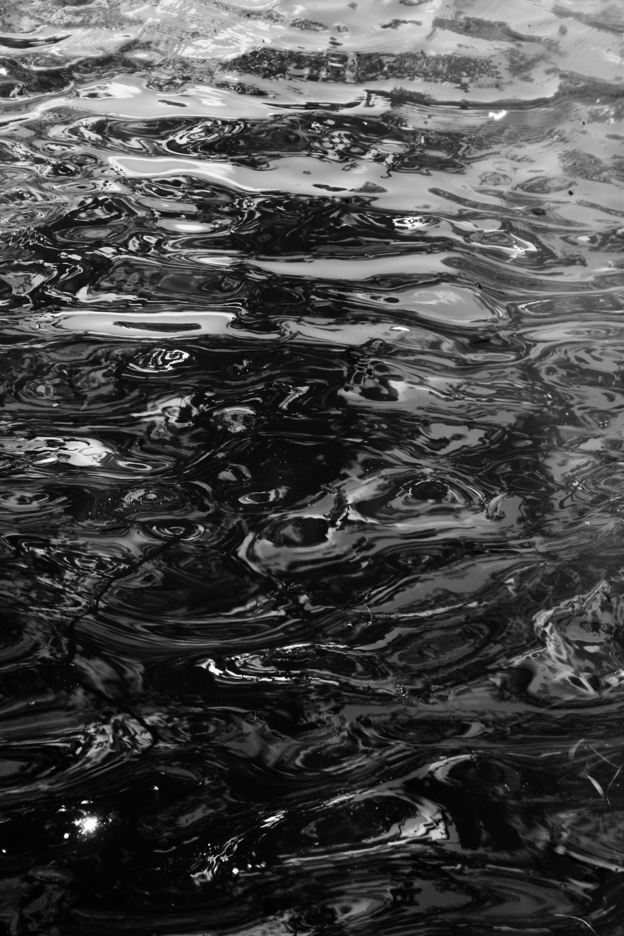 Archillect ID 69086