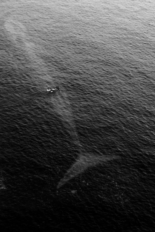 Archillect ID 69144