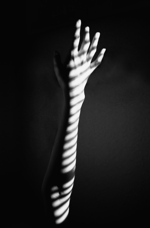 Archillect ID 69159