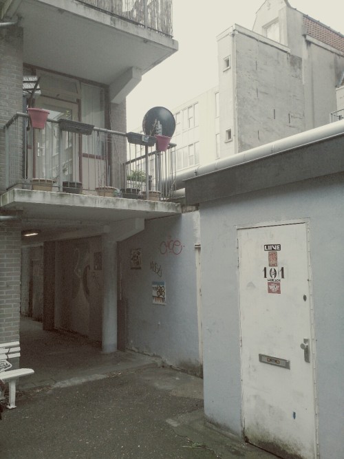Archillect ID 69351