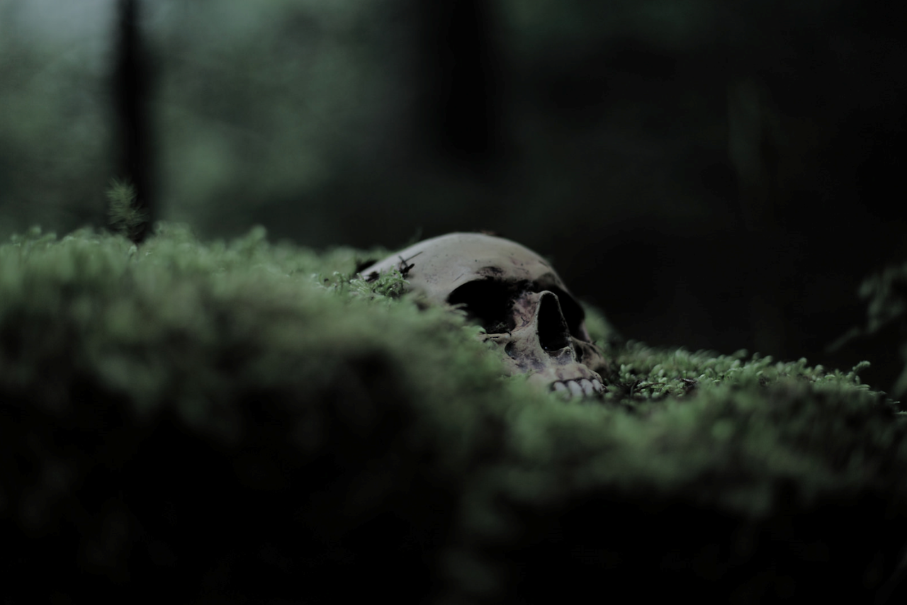 Archillect ID 69386