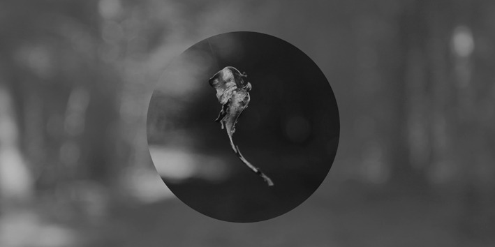 Archillect ID 69468