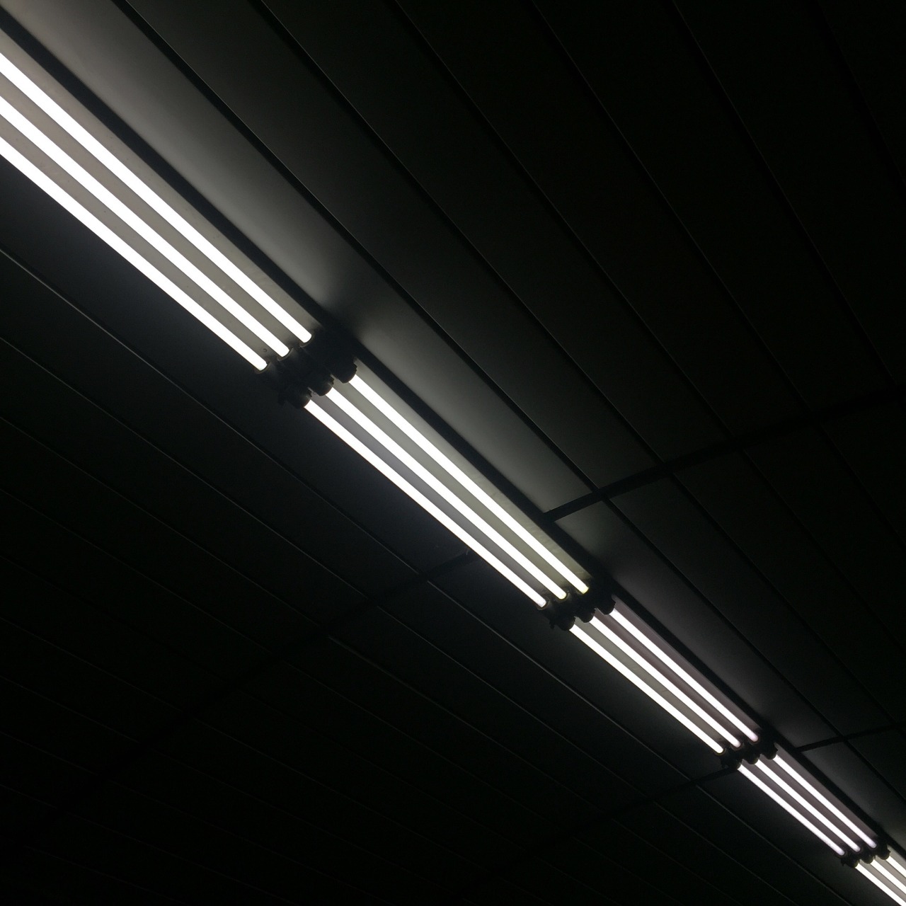 Archillect ID 69647