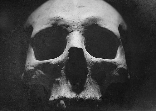 Archillect ID 69761