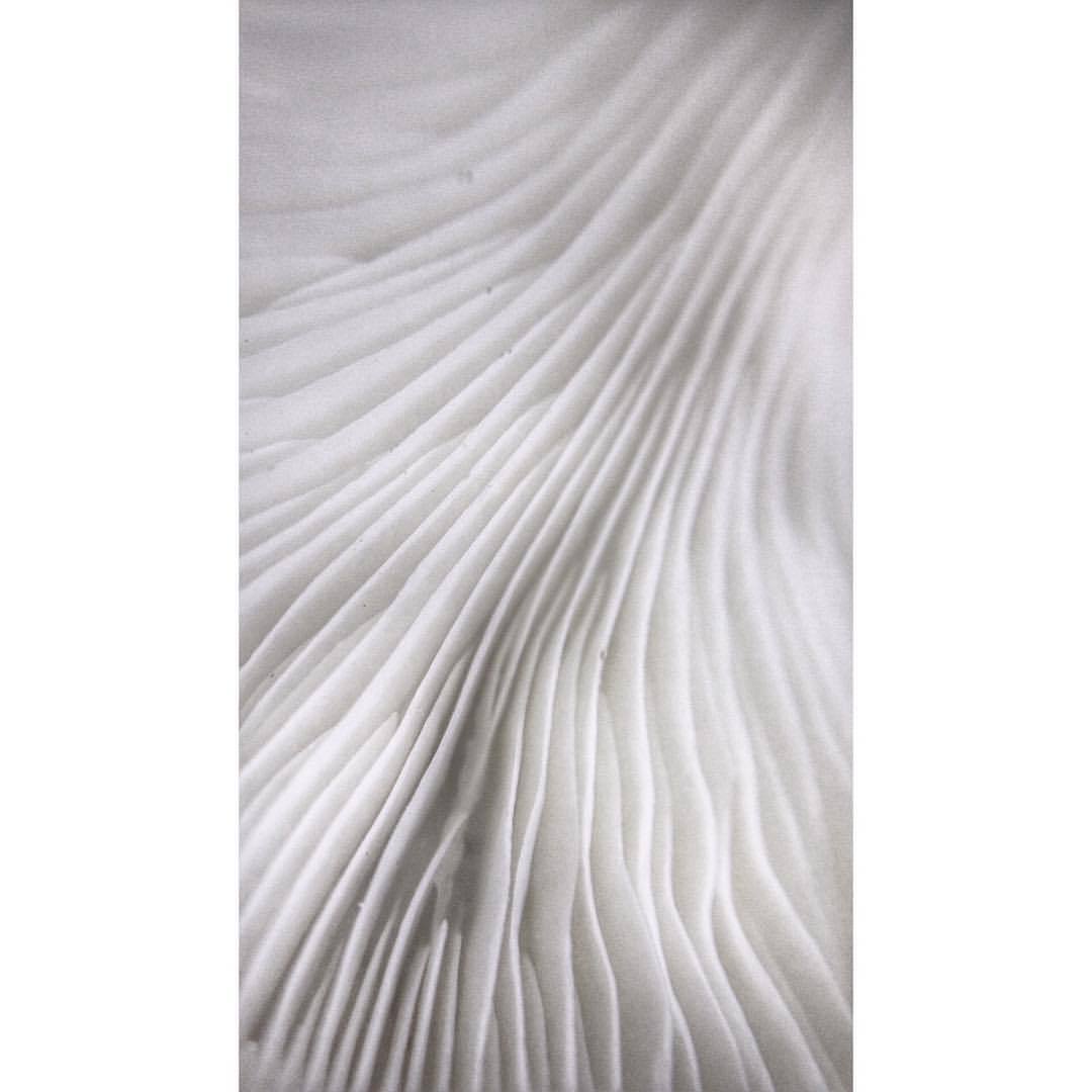 Archillect ID 69804