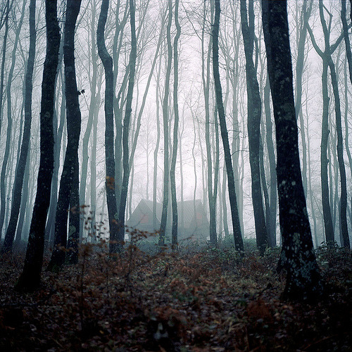 Archillect ID 69862
