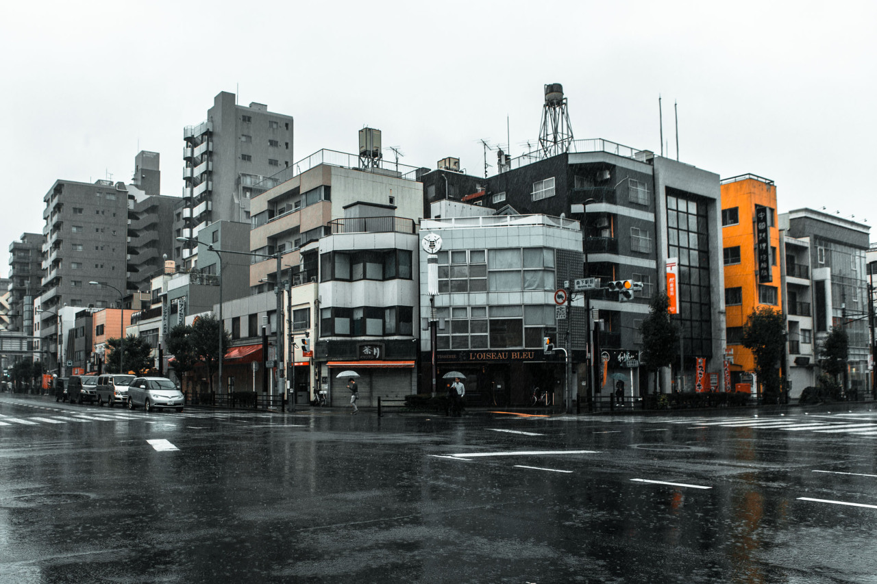 Archillect ID 69870
