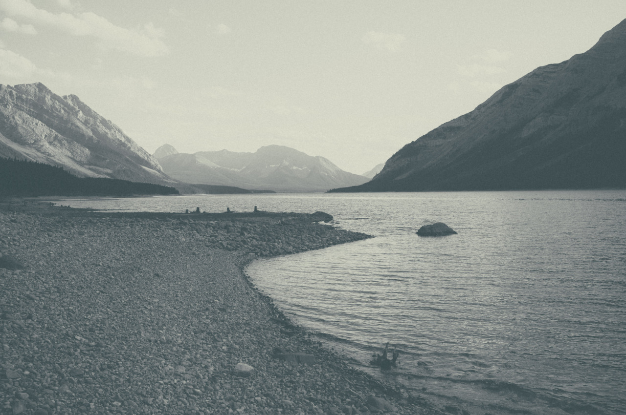 Archillect ID 69943