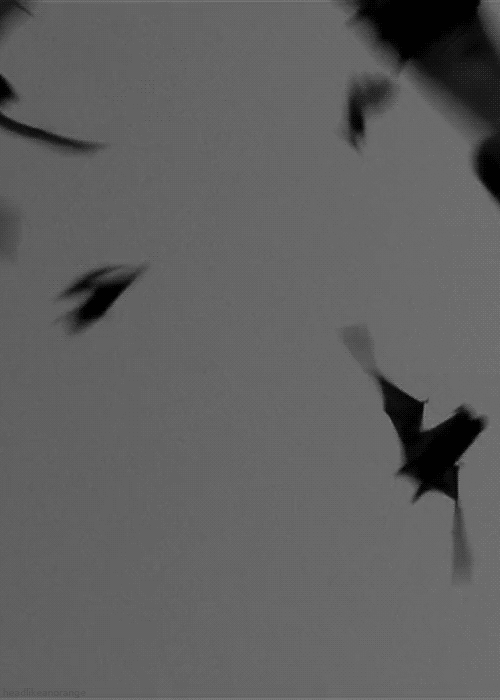 Archillect ID 70014