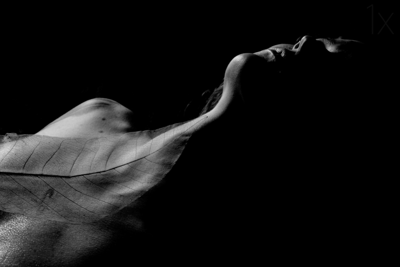Archillect ID 70016