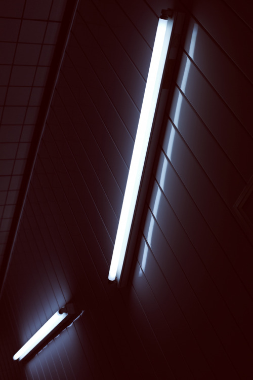 Archillect ID 70035