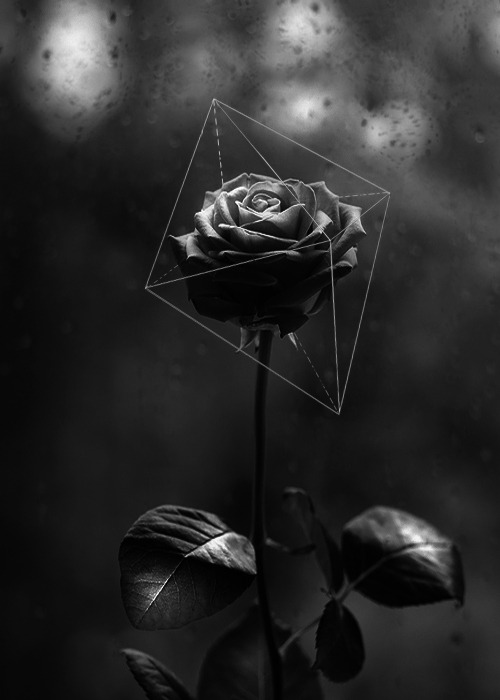 Archillect ID 70093