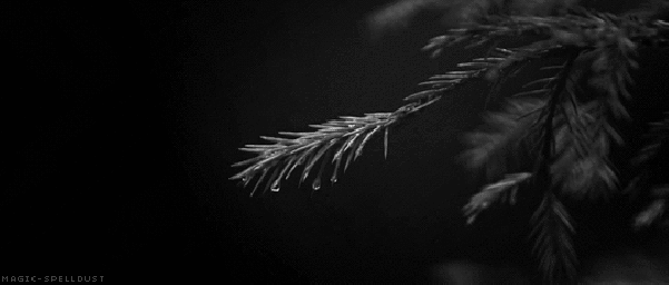 Archillect ID 70300