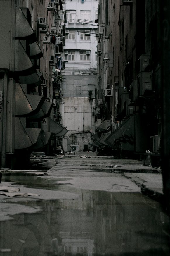Archillect ID 70336