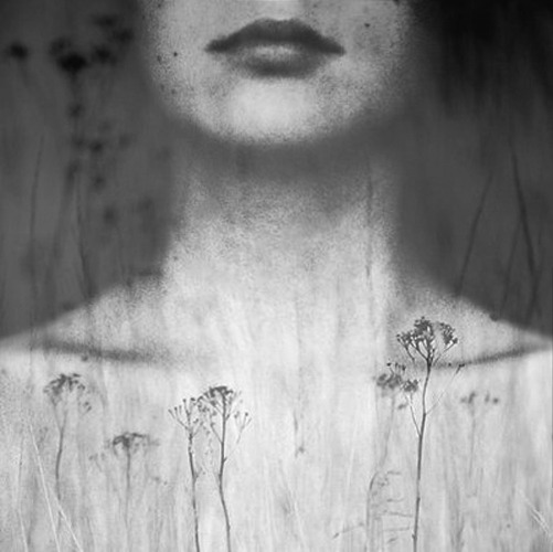 Archillect ID 70347