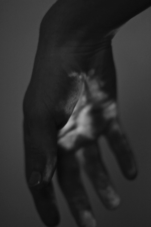 Archillect ID 70356