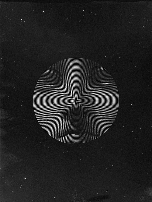 Archillect ID 70363