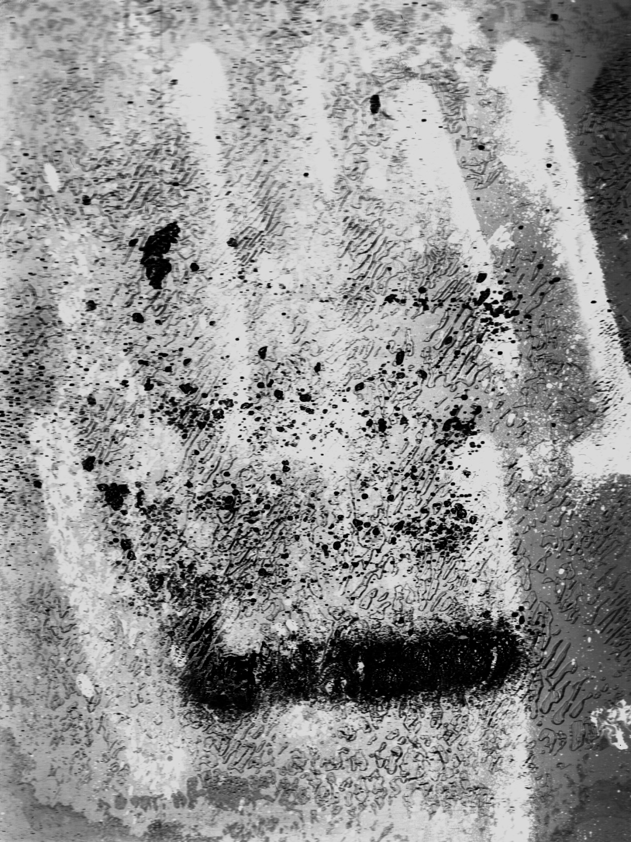 Archillect ID 70376