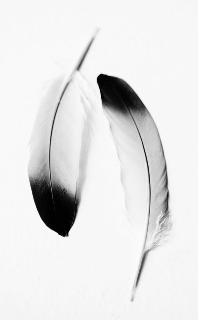 Archillect ID 70431