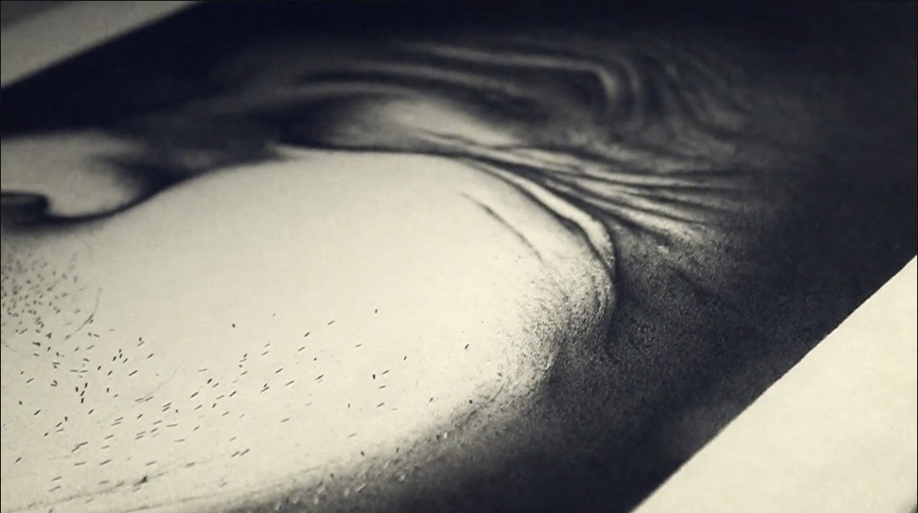 Archillect ID 70512