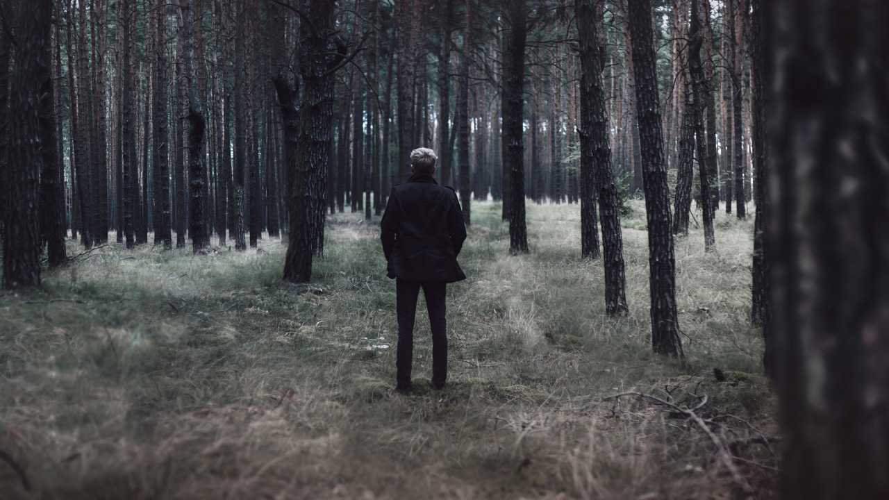 Archillect ID 70525