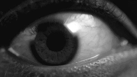 Archillect ID 70724