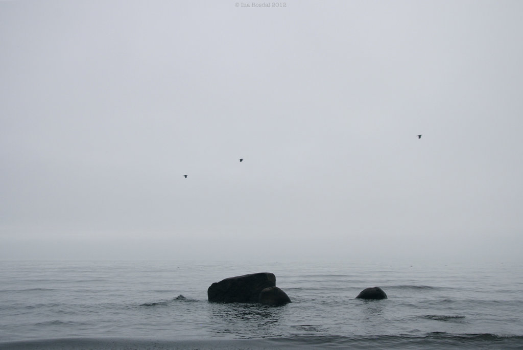 Archillect ID 70814