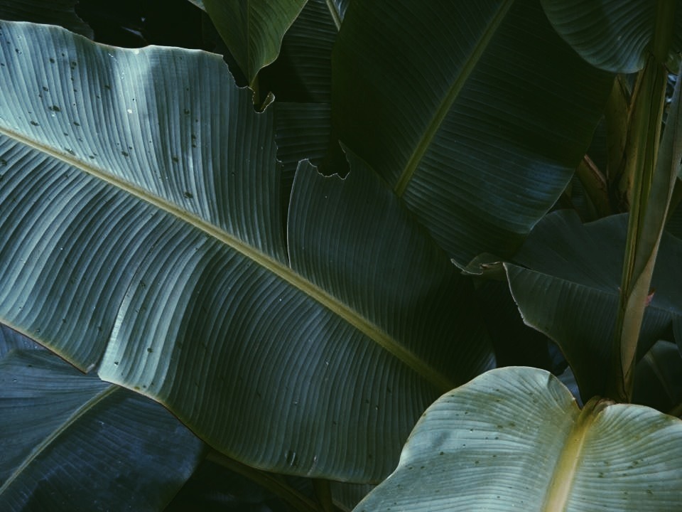 Archillect ID 70823