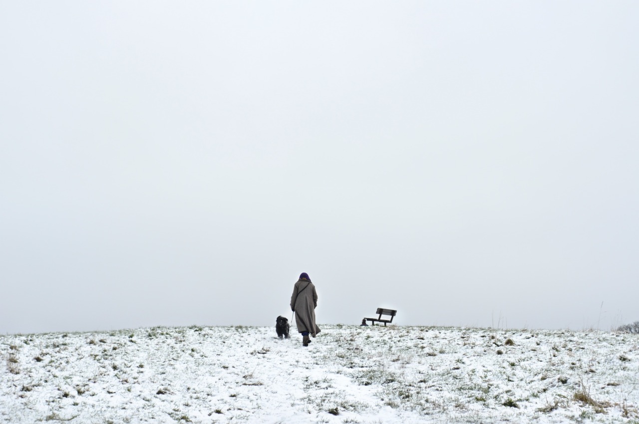 Archillect ID 70906