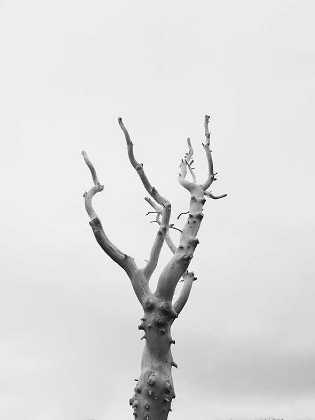 Archillect ID 70972