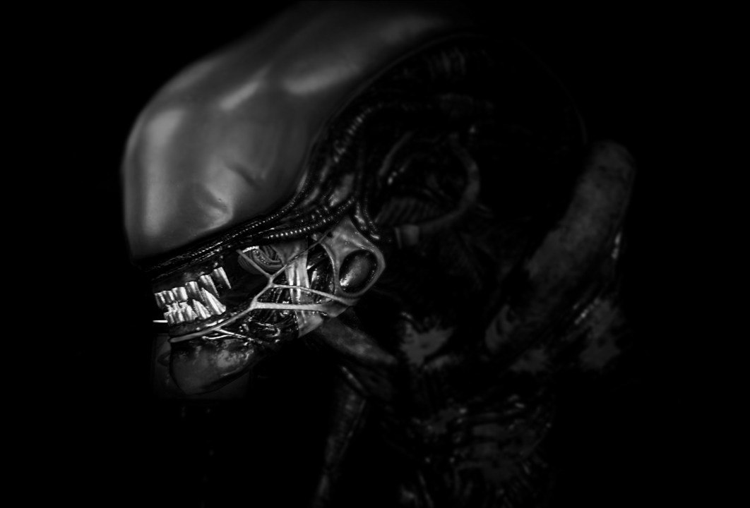 Archillect ID 71098