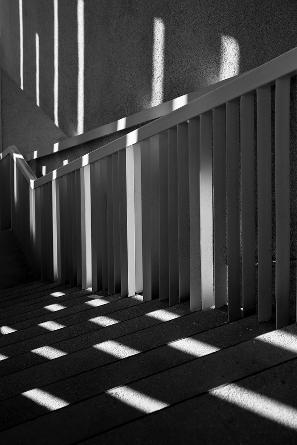 Archillect ID 71117