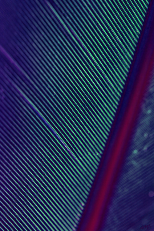 Archillect ID 71153