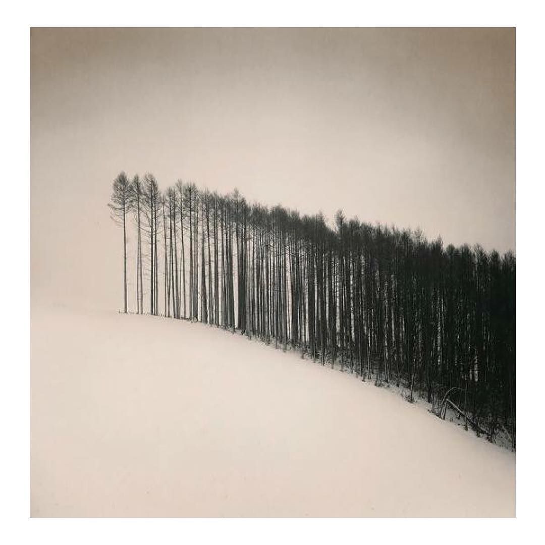 Archillect ID 71250