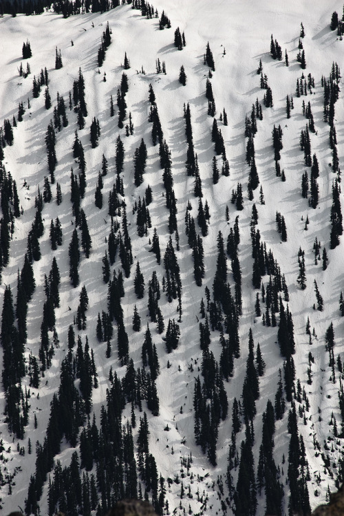 Archillect ID 71273
