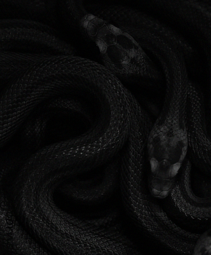 Archillect ID 71316