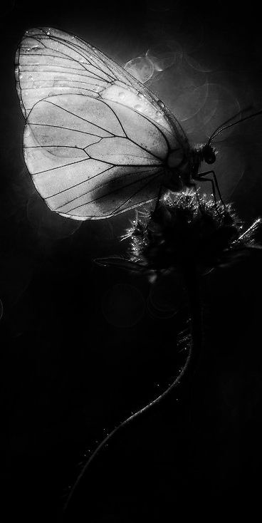 Archillect ID 71356